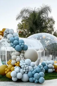 Location dôme à bulle